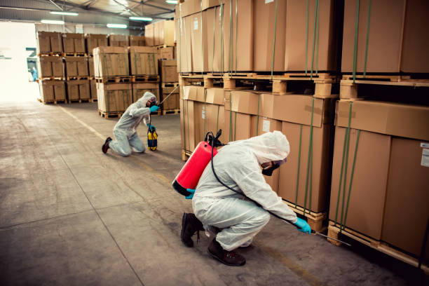 Best Mosquito Control Services  in Lugoff, SC