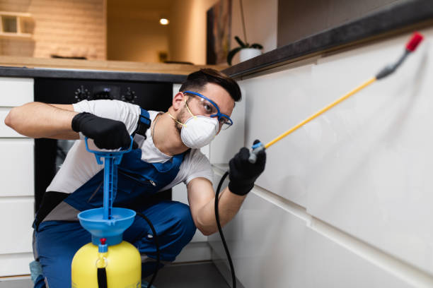 Best Bed Bug Extermination  in Lugoff, SC