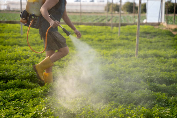 Best Pest Inspection Near Me  in Lugoff, SC