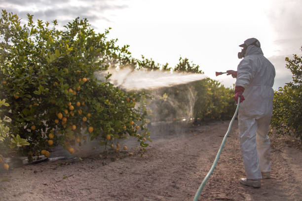 Trusted Lugoff, SC Pest Control Experts