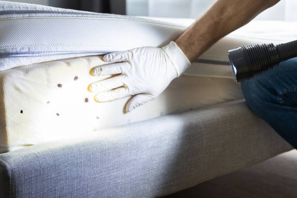 Best Exterminator Services  in Lugoff, SC