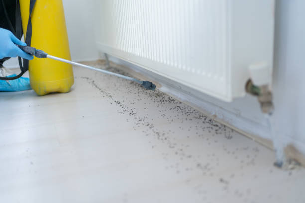 Best Pest Removal Services  in Lugoff, SC